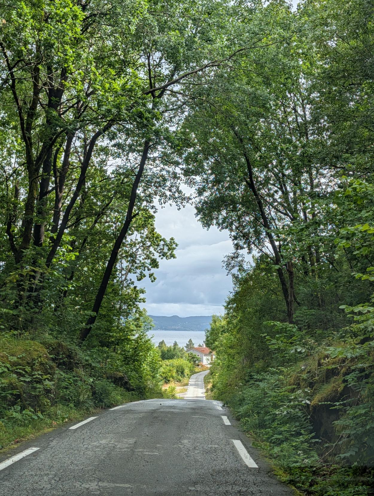 Ein smal, asfaltert veg går nedover gjennom ein tett, grøn skog der trea dannar ein naturleg boge over vegen. Lengst nede i bakken ser ein eit kvit hus med raudt tak, og i bakgrunnen opnar landskapet seg opp mot ein fjord og lave fjell under ein overskya himmel.