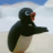 :pingu_hands: :pingu_hands: