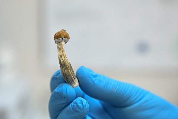 Switzerland is home to Europe’s only psychedelics treatment