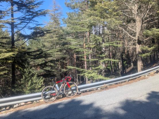 my bike standing against a guardrail in a steep climb. There are trees in the background