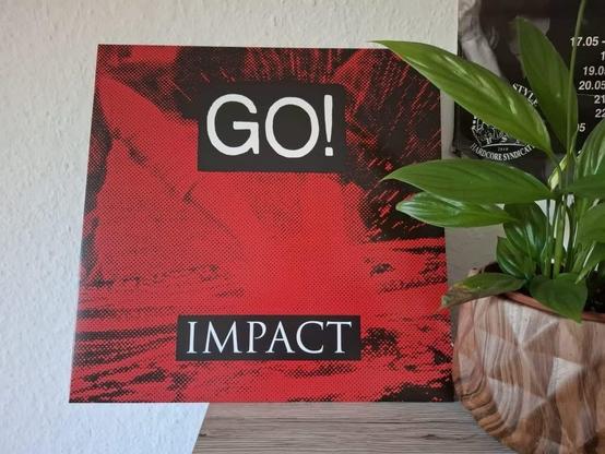 Das Bild zeigt ein leuchtend rotes und schwarzes Albumcover mit den Worten "GO!" am oberen Rand und "IMPACT" am unteren Rand. Neben dem Album steht eine grüne Pflanze, und im Hintergrund ist eine strukturierte Wand zu sehen.