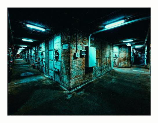 An underground cemetery crypt. On the left is a long corridor with blueish green coloured fluorescent lights all the way down. Either side of the corridor is lined with plaques and flowers and wreaths. In front of you is a wall with some light and breakers boxes and as the floor continues to the right it becomes another corridor lined with plaques and flowers with the same blueish green fluorescent lights. The whole space is lined with these cold fluorescent lights and the walls are made of brick. The flooring is poured concrete with little puddles of water here and there. It is dark and cold looking.