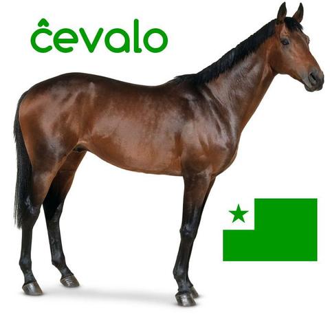 ĉevalo