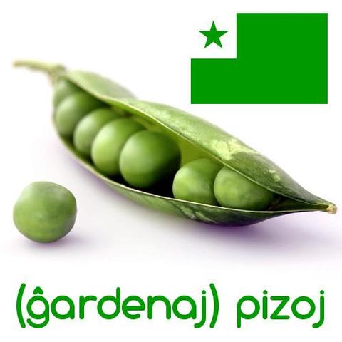 pizoj