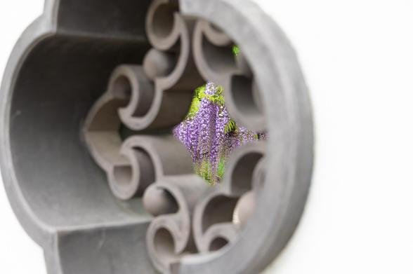 Oblique view of an ornate carved stone window in a Chinese garden. Through the center of the window, and in clearer focus than the window itself, some hanging purple wisteria flowers are visible.