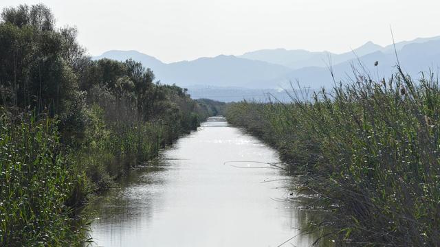A photo of a canal in a wetland. There are mountains in the distance. The sky is hazy.