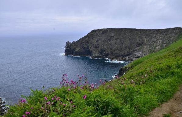 Willa Park, north coast of Cornwall.