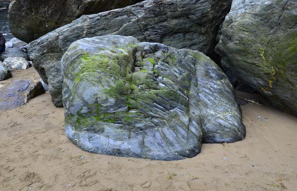 Another boulder covered in algae.