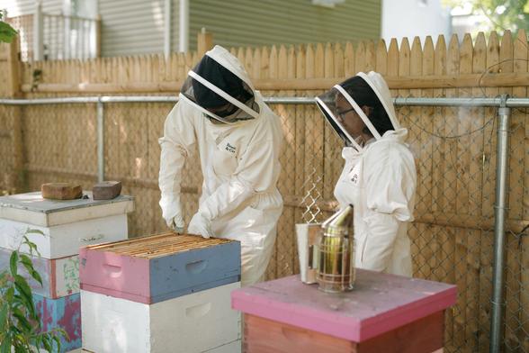 The Surprising Mental Health Benefits of Beekeeping