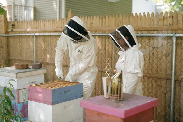 The Surprising Mental Health Benefits of Beekeeping