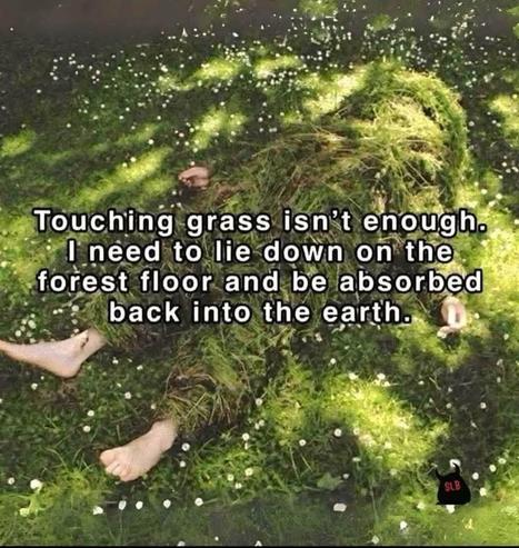 An image depicting a person lying on a grassy forest floor, partially covered with grass and flowers. Overlaid text expresses a desire to connect more deeply with nature, stating that merely touching grass isn't sufficient.