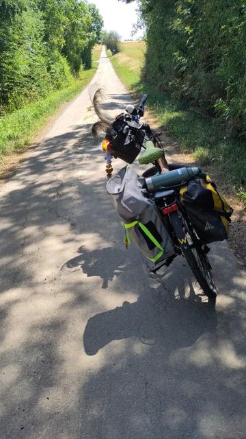 Ein Fahrrad im Schatten , ein lang ansteigender Weg im Hintergrund