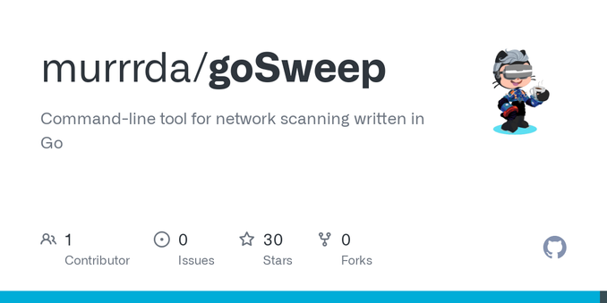 Command-line tool for network scanning written in Go - murrrda/goSweep