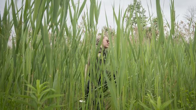 Une policière vue à travers de hautes herbes, le 17 juin 2025. On entrevoit un chien pisteur.