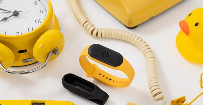A photo of the Bee wearable