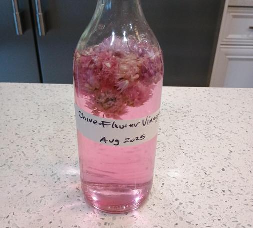 A bottle is almost full of a bright pink liquid and a bunch of flowers sit on top of the vinegar inside. Over a few weeks the flowers are bleached white and sink to the bottom. The pink of the vinegar fades to clear again gradually too. But the flavour continues and develops over time