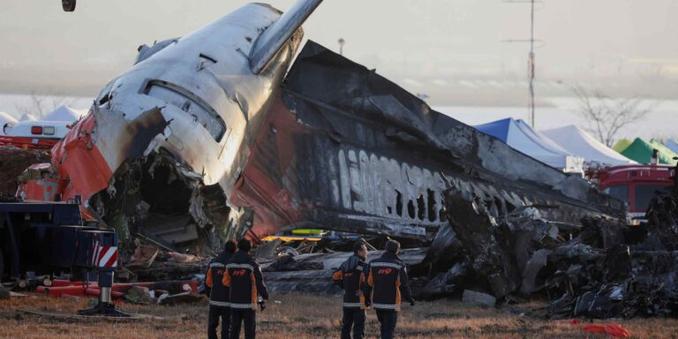 Tourism, global warming leading to more bird strikes in Japan