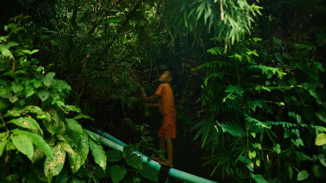 A child refugee from Myanmar stands on a water pipe while foraging for food in a forest near the Mae La refugee camp in the Tak province of Thailand, Thursday, Aug. 28, 2025. (AP Photo/Bram Janssen)