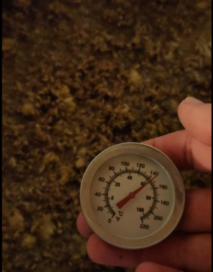 Termometeret viser 62°C i mesken