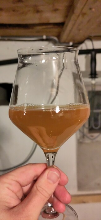 Glass med spissøl. Ølet har en brunlig karamellfarge.