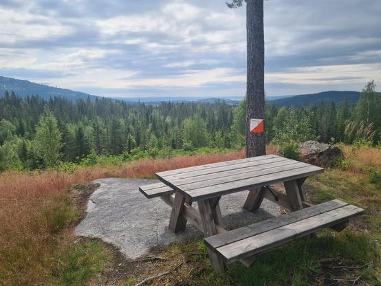 Piknikbord. Furustamme med tueorienteringspost. Utsikt mot skog og blåner.