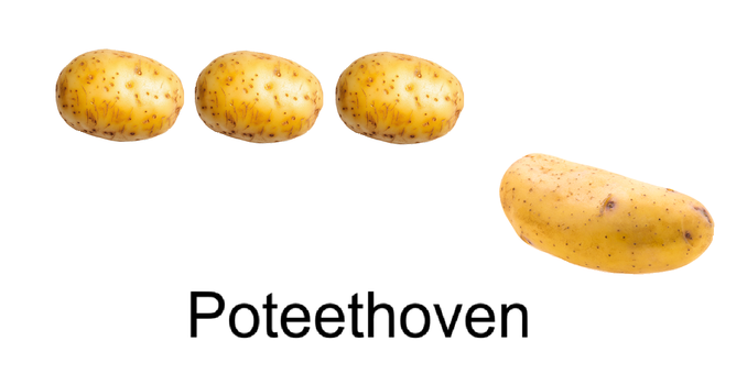 Tre små poteter på rekke oppe og deretter en lang potet lengre ned. Caption: Poteethoven