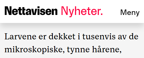 Skjermbilde fra artikkel på nettavisen.no med teksten: "Larvene er dekket i tusenvis av de mikroskopiske, tynne hårene"