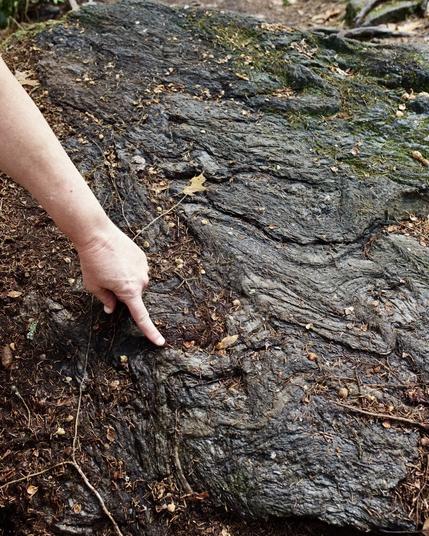 The image is a color digital photograph 2 wide by 3 high. A finger is pointing to hard, tightly folded metamorphic rocks, which ripple across the frame.
