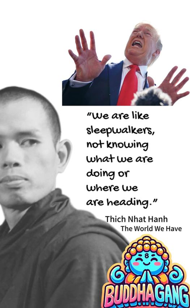 A haphazard Buddha Gang meme collage image with Thich Nhat Hanh and Trump that reads, “We are like sleepwalkers, not knowing what we are doing or where we are heading.” - Thich Nhat Hanh