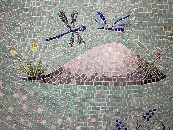 Dragonflies and unpolluted water mosaic