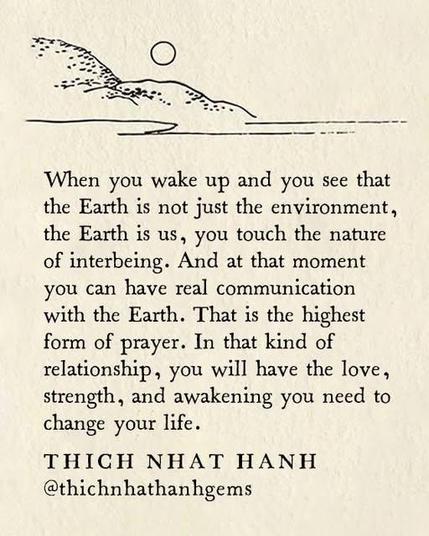 A contemplative image featuring a quote by Thich Nhat Hanh on a textured, off-white background resembling natural paper. The quote, in clear black font, discusses the interconnectedness of humanity and Earth, stating in part, 'When you wake up and you see that the Earth is not just the environment, the Earth is us...' Above the text is a delicate, single-line drawing in black ink. The drawing depicts a circle, possibly representing the sun or moon, positioned above a gently undulating line of hills. Beneath this is a straight horizontal line, suggesting a still body of water or a flat landscape. The overall image is minimalist and serene, reflecting the themes of mindfulness and nature present in the quote. At the bottom, the text reads 'THICH NHAT HANH @thichnhathanhgems'.