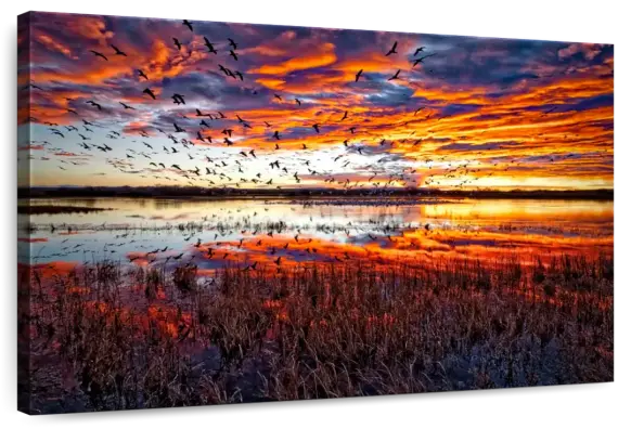 Snow Geese In Bosque Del Apache https://elephantstock.com/collections/olena-wall-art?esaid=ree4w3&esaid=ree4w3 Transform your space with the serene beauty of 'Snow Geese In Bosque Del Apache' by Olena. This captivating artwork captures the elegance of snow geese soaring over a tranquil lake at sunset, blending vibrant hues with dynamic composition. Perfect for adding a touch of nature's wonder to your home. Explore this and more stunning pieces by Olena at Elephant Stock. #NatureArt #HomeDecor #OlenaArt #SnowGeese #SunsetVibes  @elephantstock @elephantstock #olenaart #olenaartstudio #olenaartgallery #olenaartbrand