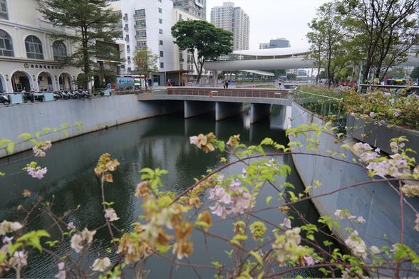 Some flowers close to the camera partially cover a small river. Farther out a bridge crosses the river. On the left are a number of buildings and on the right trees line the sidewalk above the water
