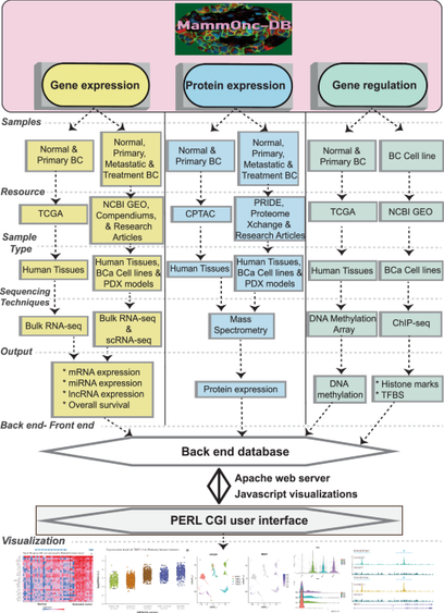 MammOnc-DB, an integrative breast cancer data analysis platform for target discovery