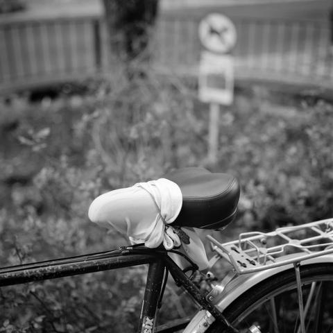 The black and white image shows a bicycle with a cloth covering its seat, tied securely around it. The bike is parked outdoors near some foliage, and in the blurred background, there is a sign with a dog symbol, likely indicating a restriction.