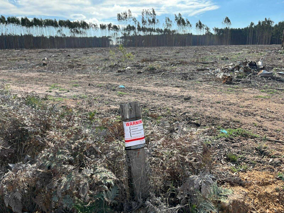 Culling 700 Koalas by helicopters via
https://au.news.yahoo.com/devastating-photos-captured-after-australia-gunned-down-koalas-from-helicopters-011645578.html