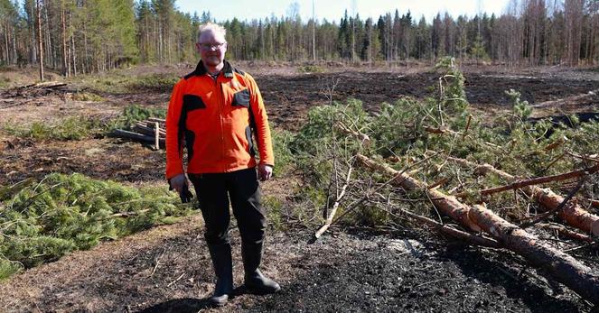 Virroilla maastopalo – kipinä lähti moottorisahasta kesken puunkaadon | Pirkanmaa