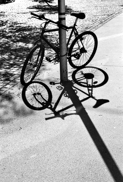 The black and white image shows a bicycle locked to a pole, casting a sharp, detailed shadow on the pavement, with cobblestone patterns visible in the background.