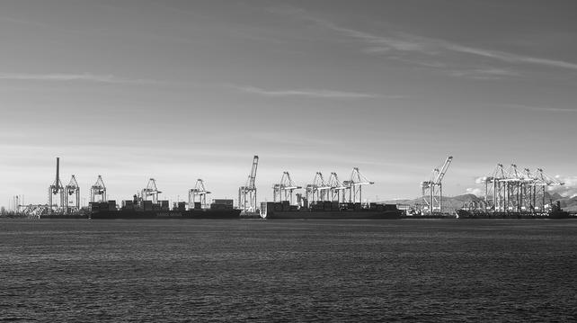A line of cargo cranes along the horizon.