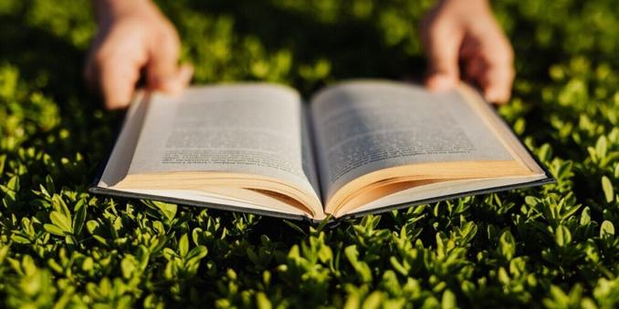 Discover captivating books about France: reading recommendations