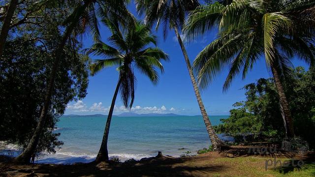 The image shows a tropical beach scene with several palm trees framing a view of the ocean. The sea appears calm, and the sky is blue with some clouds near the horizon. There’s lush greenery around the edges, contributing to a tranquil and idyllic coastal atmosphere.