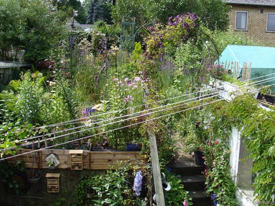 After picture of the garden. Flowers, flowers everywhere. Crawling over the edges, creeping up the walls, spilling out of every crevice