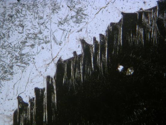 A landscape rectangular view of a rock thin section imaged under a polarizing microscope. The NW half of the view is mostly colourless with swarms of needle-like crystals. The SE half of the view is mostly very dark brown, with featherly pale structures extending into the darkness from the clear NW half.