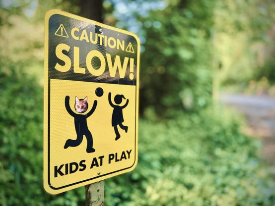 A yellow and black sign reads, "CAUTION | SLOW! | KIDS AT PLAY," but with a cat head sticker placed on one of the two kids' heads, all against a green foliage and rural road background on a sunny morning.
