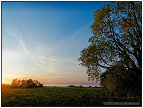 Der Sonnenuntergang am Abend des 30. April über der Ostseeküste bei Hohenfelde mit weitem grünen Feld und Bäumen am rechten Bildrand färbt den Himmel über dem Horizont gelb-orange, verlaufend in tiefes Blau zum oberen Bildrand hin.