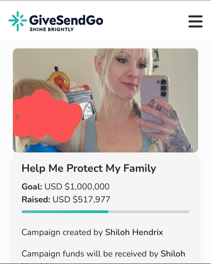 The fundraising page for a white woman who called a 5 year old the n-word. So far, she has raised over $500k.