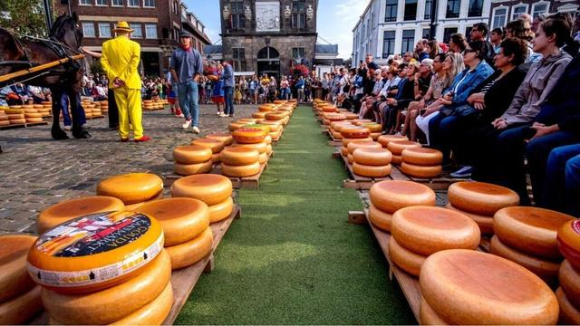 Goodbye Gouda and farewell French mustard: Signature foods on the brink of climate extinction