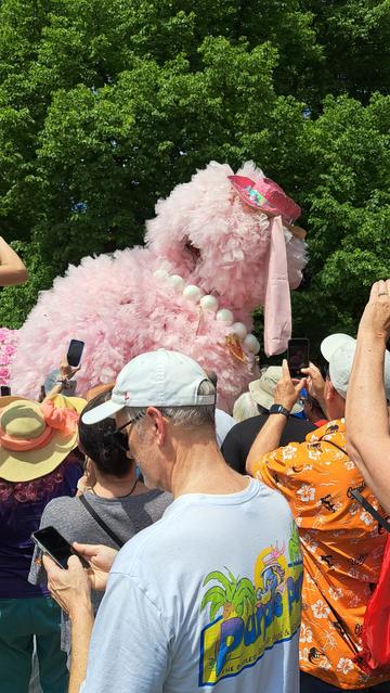 Pink Poodle Club Sculpture--FiFi