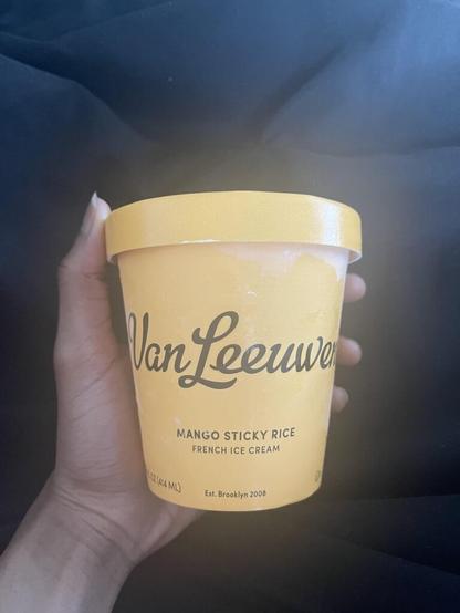 Van Leeuwen mango sticky rice