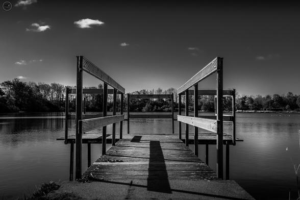 Monochrome shot of wooden jetty on pond